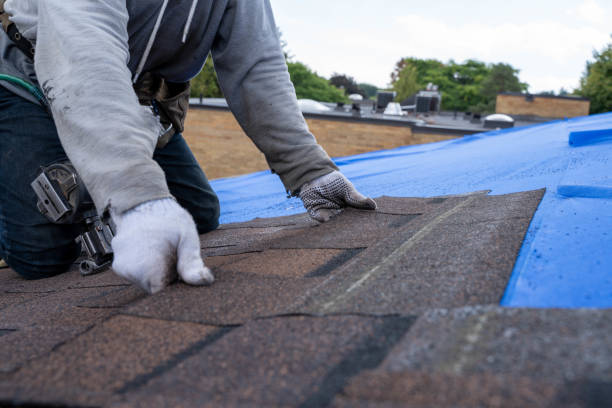 Best Flat Roof Repair Services  in Mckinleyville, CA